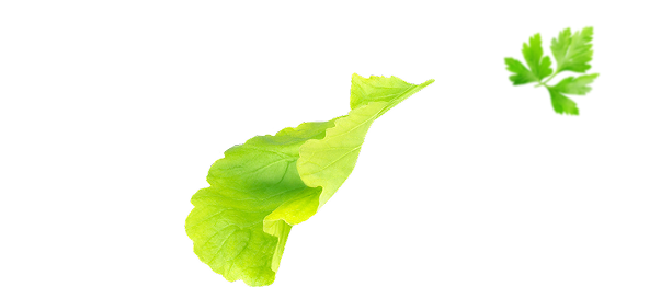 Хлебцы хрустящие с отрубями